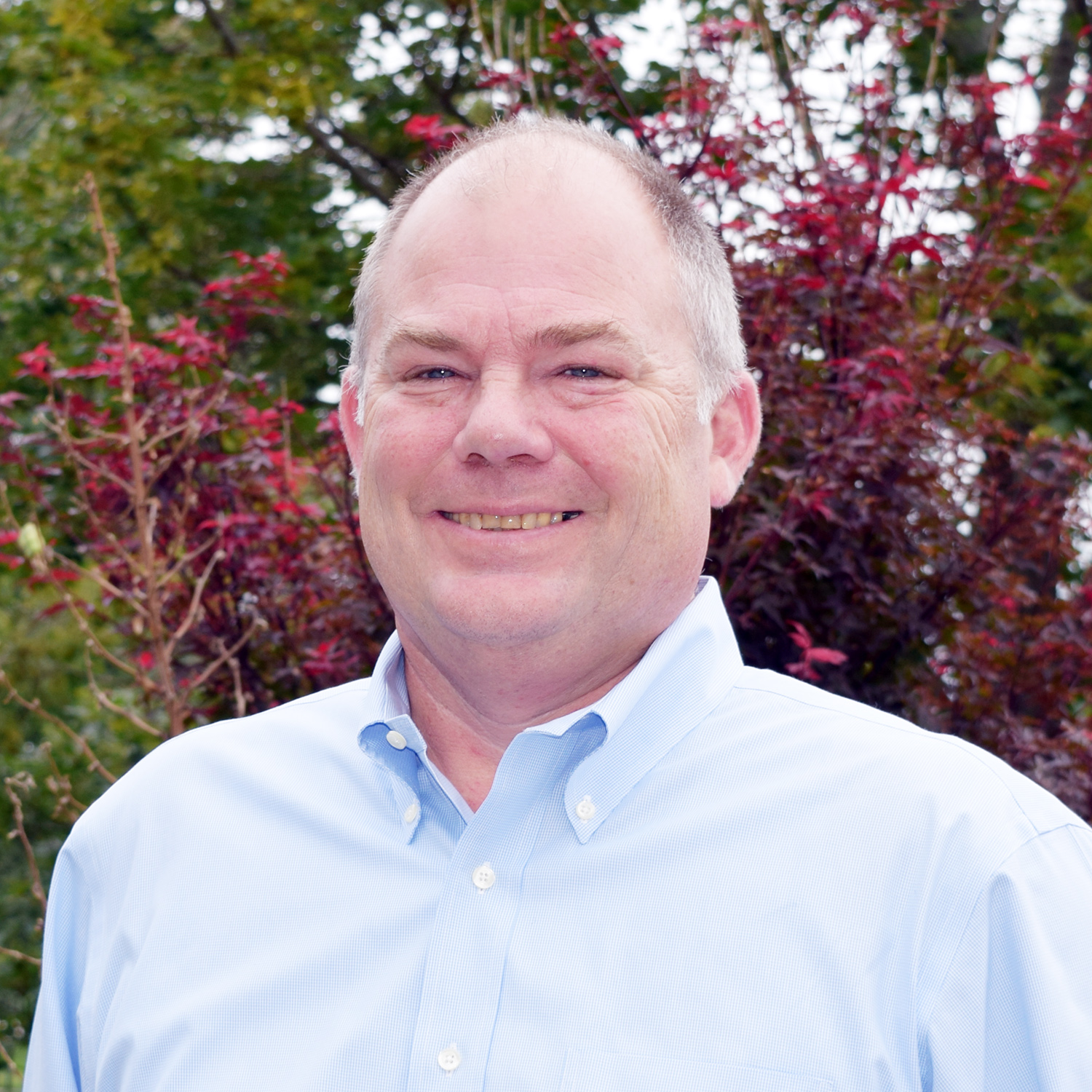 brian chebro web